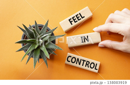 Feel in Control symbol. Wooden blocks with words Feel in Control. Beautiful orange background with succulent plant. Businessman hand. Business and Feel in Control concept. Copy space. Feel in Control symbol. Wooden blocks with words Feel in Control. Beautiful orange background with succulent plant. Businessman hand. Business and Feel in Control concept. Copy space. 138083919