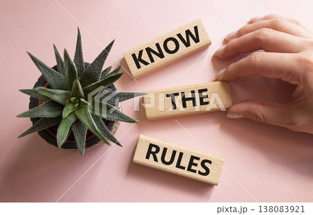 Know the rules symbol. Wooden blocks with words Know the rules. Businessman hand. Beautiful pink background with succulent plant. Business and Know the rules concept. Copy space. 138083921