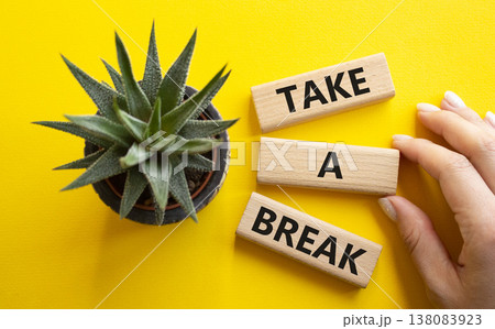 Take a break symbol. Concept words Take a break on wooden blocks with succulent plant. Businessman hand. Beautiful yellow background. Business and Take a break concept. Copy space. 138083923