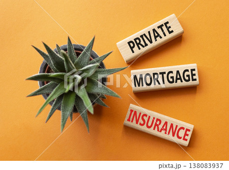 Private Mortgage Insurance symbol. Wooden blocks with words Private Mortgage Insurance. Beautiful orange background with succulent plant. Business concept. Copy space. Private Mortgage Insurance symbol. Wooden blocks with words Private Mortgage Insurance. Beautiful orange background with succulent plant. Business concept. Copy space. 138083937