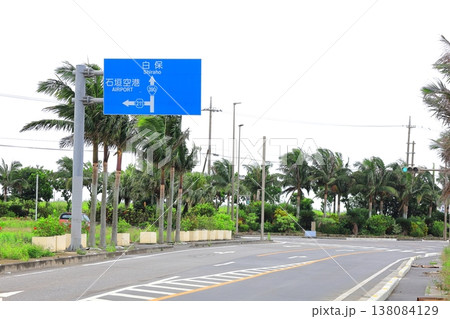 沖縄県 石垣島のヤシの木の街路樹 沖縄県 石垣島のヤシの木の街路樹 138084129