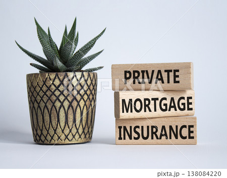 Private Mortgage Insurance symbol. Wooden blocks with words Private Mortgage Insurance. Beautiful white background with succulent plant. Business concept. Copy space. Private Mortgage Insurance symbol. Wooden blocks with words Private Mortgage Insurance. Beautiful white background with succulent plant. Business concept. Copy space. 138084220