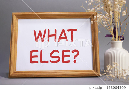 What else symbol. Concept words What else on beautiful wooden picture frame. Beautiful grey background with flower vase. Business and What else concept. Copy space. What else symbol. Concept words What else on beautiful wooden picture frame. Beautiful grey background with flower vase. Business and What else concept. Copy space. 138084509