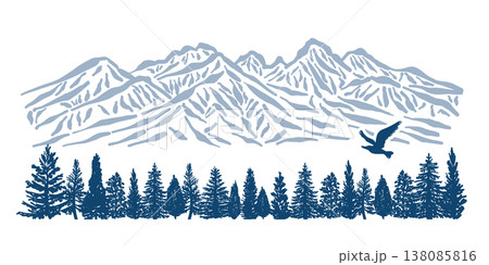 八ヶ岳／長野県、山梨県　山のシルエット、鳥、森林。 138085816