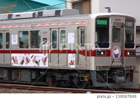［TS］東武大師線10050系電車（さのまるっととれいん） 138087688