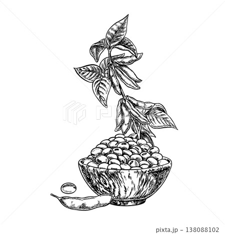 Soy stalk with pods, leaves, and a handful of soybeans in a wooden bowl. Black and white vector graphic illustration. Perfect for creating product labels, posters, banners, menus, and more. 138088102