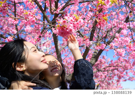 桜に手を伸ばす日本人の親子 桜に手を伸ばす日本人の親子 138088139