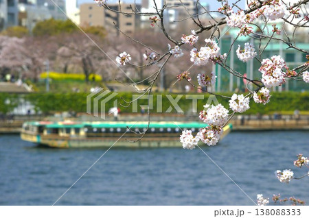 桜と屋形船 138088333