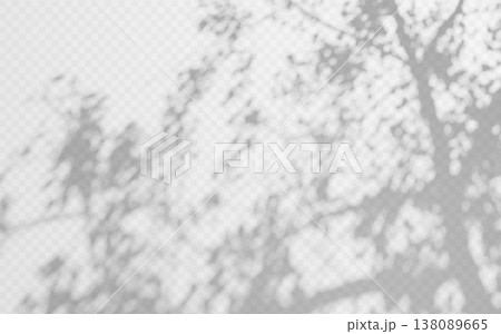 Natural light shadow overlay with tree foliage and crown on transparent background. Soft silhouette with leaves texture and blurred sunlight effect 138089665