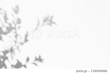Shadow overlay of tree branch and leaves on transparent background. Blurred botanical silhouette creating soft natural light effect. 138089666