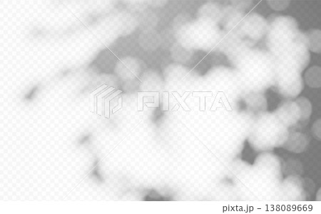 Abstract blurred shadow overlay foliage with bokeh effect and sunbeam on transparent background. 138089669