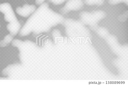 Soft shade from plant on a transparent background. Shadow overlay from tree branch 138089699