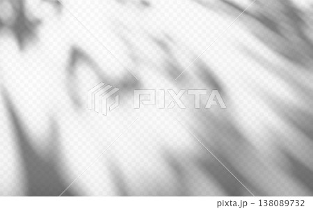 Abstract soft dappled light shadow overlay from tree branch on a transparent background. 138089732