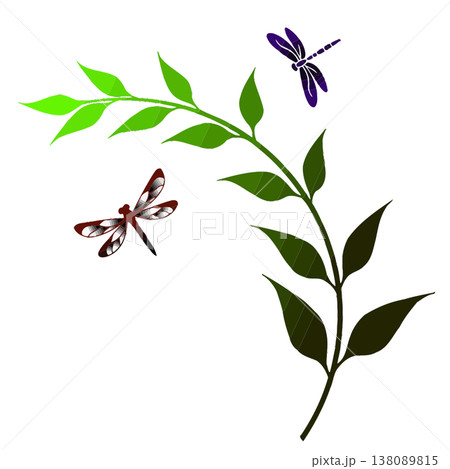 Dragonflies Flying Around a Green Leafy Branch 138089815