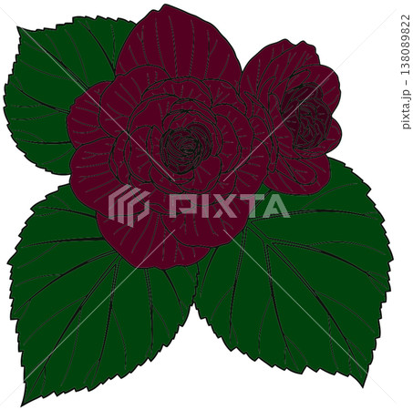 Burgundy Floral Illustration with Green Leaves Burgundy Floral Illustration with Green Leaves 138089822