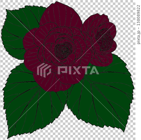 Burgundy Floral Illustration with Green Leaves Burgundy Floral Illustration with Green Leaves 138089822