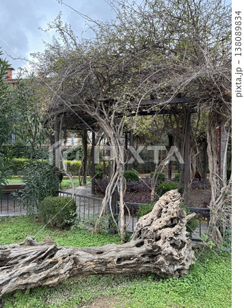 Pergola with intertwining vines and twisted driftwood in a lush garden setting 138089834
