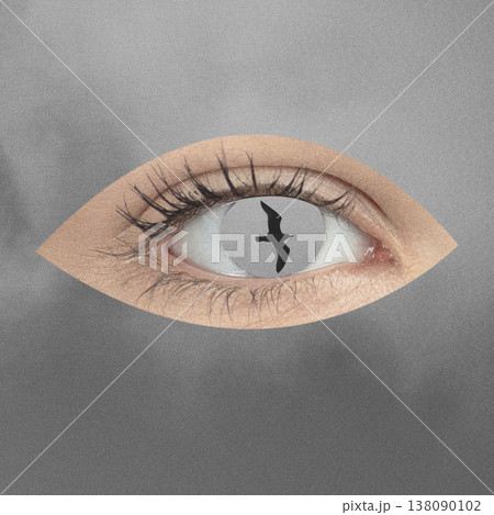 Eye with bird silhouette representing freedom and vision 138090102