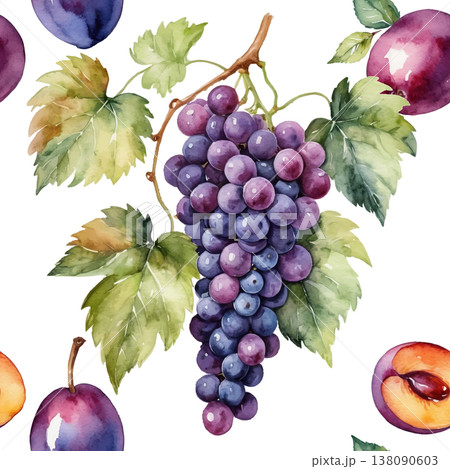 Seamless Watercolor Grapes and Plums Pattern. 138090603
