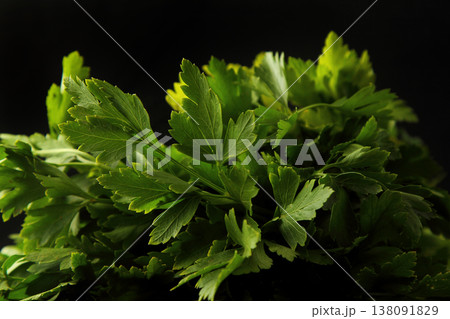 Close-up parsley leaves with dew drops on black background. 138091829