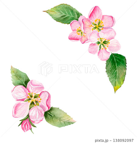 Watercolor hand drawn frame with apple pink flowers and buds on a green branch with leaves. 138092097