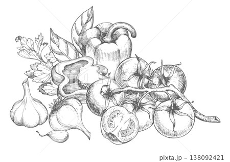 Composition of the bell peppers, tomatoes, parsley, garlic and leaves. Vector ink styled illustration. For packaging design, cards, cover, prints, product labels and fabric. 138092421