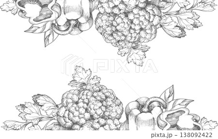 Frame of the cauliflower, bell pepper and parsley. Vector ink styled illustration. For packaging design, cards, cover, prints, product labels and fabric. 138092422