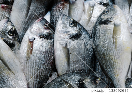 Fresh dorado fish or sea bream on ice at a local seafood market. Close-up shot of raw chilled fish heads with silver scales, ready for cooking in a restaurant or at home 138092655
