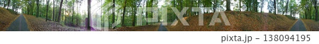 Full circle panoramic image of broadleaf autumn forest full of leaves on ground Full circle panoramic image of broadleaf autumn forest full of leaves on ground 138094195