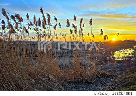 Evening Landscape With Reeds and Sunset Over Wetland Area Near Waterway Evening Landscape With Reeds and Sunset Over Wetland Area Near Waterway 138094891
