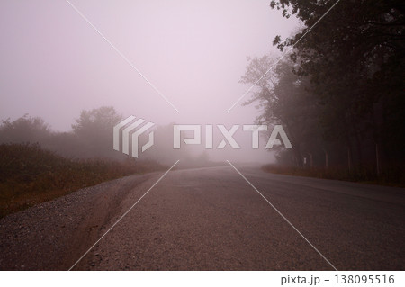 foggy day and trees foggy day and trees 138095516