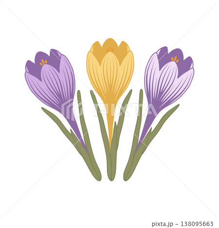 Crocuses blooming in vector with vibrant colors Crocuses blooming in vector with vibrant colors 138095663