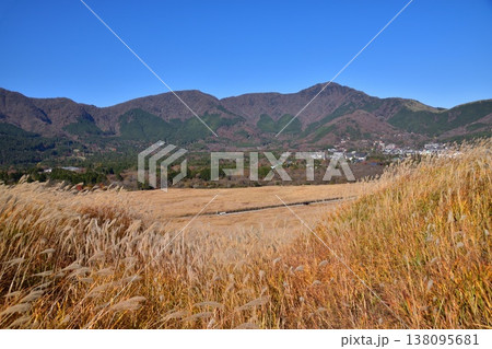 箱根・仙石原のすすき草原と湿原 箱根・仙石原のすすき草原と湿原 138095681