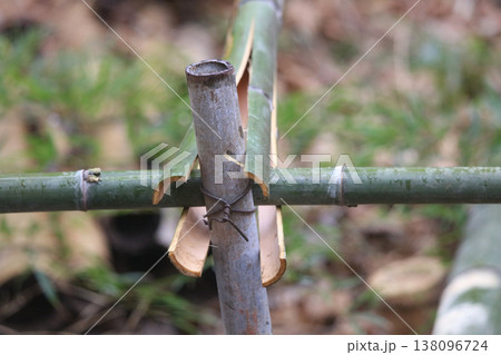 竹を割る男性 138096724