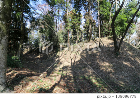 栃木県下野市の児山城跡 138096779