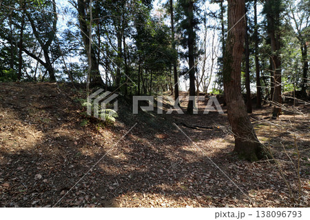 栃木県下野市の児山城跡 138096793