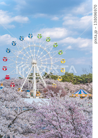 「青森県」満開の桜と観覧車の風景　八戸公園・子供の国　八戸市 138096970