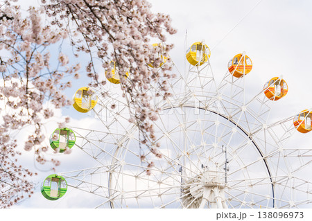 「青森県」満開の桜と観覧車の風景　八戸公園・子供の国　八戸市 138096973