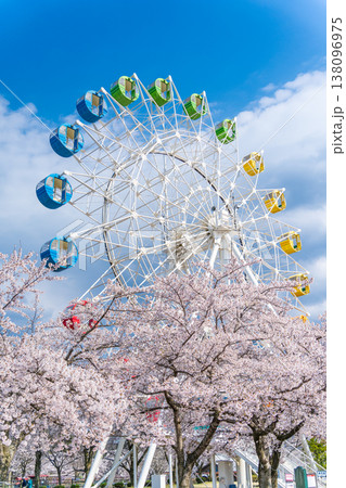 「青森県」満開の桜と観覧車の風景　八戸公園・子供の国　八戸市 138096975