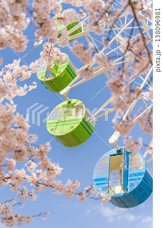 「青森県」満開の桜と観覧車の風景　八戸公園・子供の国　八戸市 138096981