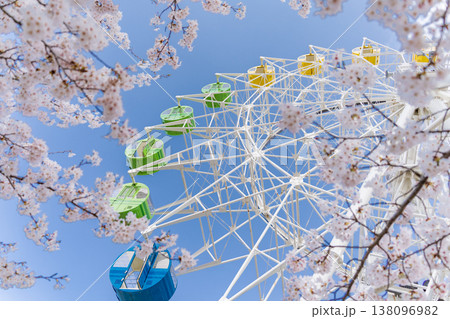 「青森県」満開の桜と観覧車の風景　八戸公園・子供の国　八戸市 138096982