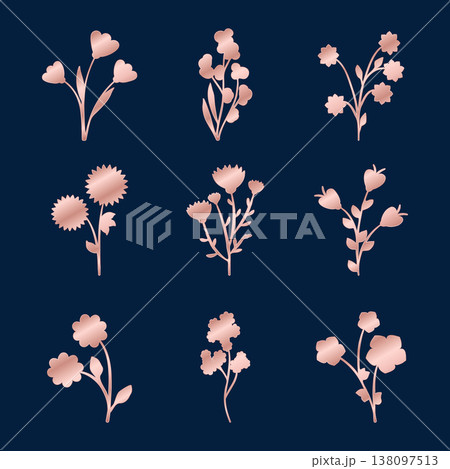 Nine unique rose golden floral elements displayed on a dark blue background. Each distinct flower and branch design is stylized. This elegant set offers golden floral elements for creative projects. Nine unique rose golden floral elements displayed on a dark blue background. Each distinct flower and branch design is stylized. This elegant set offers golden floral elements for creative projects. 138097513