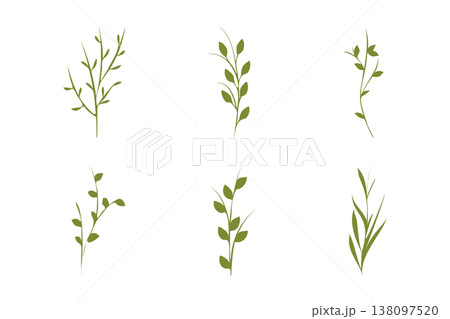 A collection of six stylized green plant stems, some with leaves and some as bare branches, displayed on a clean white background. These graphic elements are ideal for nature themed designs. 138097520