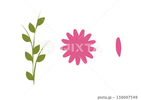 Components of a flower constructor kit displayed. A green stem with leaves, a pink multi-petal flower head, and a single pink petal are arranged on a clean white background. Ready for assembly. 138097549