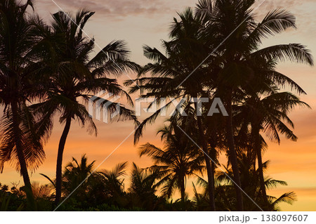Magical sunset with orange sky and palm trees at dusk on Maldives islands, reflection on the water in beach, no people Magical sunset with orange sky and palm trees at dusk on Maldives islands, reflection on the water in beach, no people 138097607