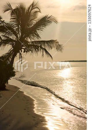 Magical sunset with orange sky and palm trees at dusk on Maldives islands, reflection on the water in beach, no people Magical sunset with orange sky and palm trees at dusk on Maldives islands, reflection on the water in beach, no people 138097624