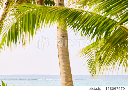 Classic Maldives island landscape on a sunset, azure water, white sand, palm trees on the shore 138097670