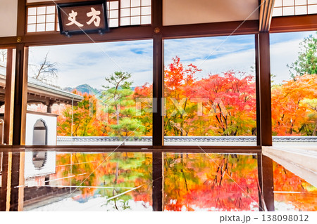 群馬 宝徳寺の床もみじ 群馬 宝徳寺の床もみじ 138098012