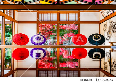 群馬 宝徳寺の床もみじ 138098023