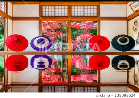 群馬 宝徳寺の床もみじ 群馬 宝徳寺の床もみじ 138098024